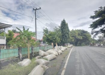 Pihak Bulog Pare – Pare, Barru, Gerak Cepat Mengambil Langkah, Semua Gabah Petani Habis Terjual, Warga Apresiasi