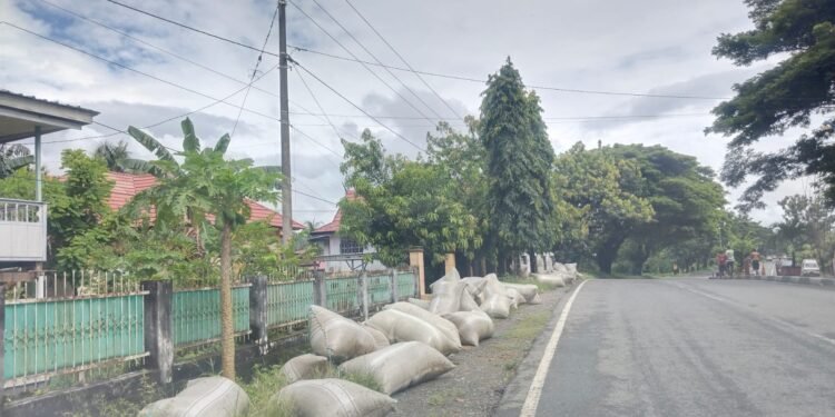 Pihak Bulog Pare – Pare, Barru, Gerak Cepat Mengambil Langkah, Semua Gabah Petani Habis Terjual, Warga Apresiasi