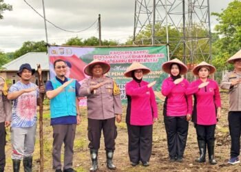 Dukung Program Ketahanan Pangan Presiden Prabowo Subianto, PT PLN Indonesia Power UBP Barru Bersama Polsek Balusu Gelar Penanaman Jagung