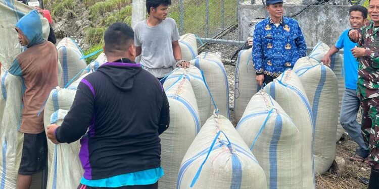 Perum Bulog Hari Ini, Gabah Petani Yang Siap Di Jemput, Dinas Pertanian Mendampingi