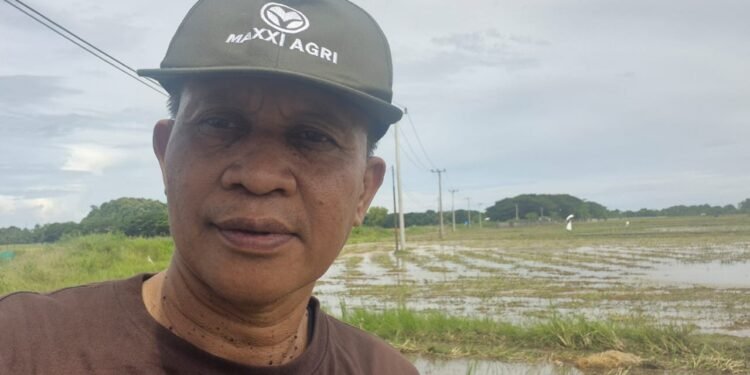 Tim Kerja Bulog Sudah Melakukan Pembelian Gabah Petani di Barru Sesuai Standar Yang Ditetapkan Pemerintah