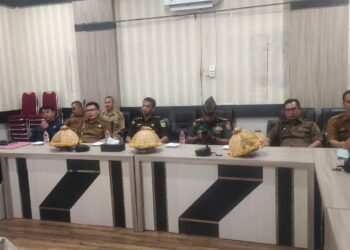 Zoom Meeting Dengan Sekjen Kementerian Dalam Negeri, Strategi Pengendalian Inflasi