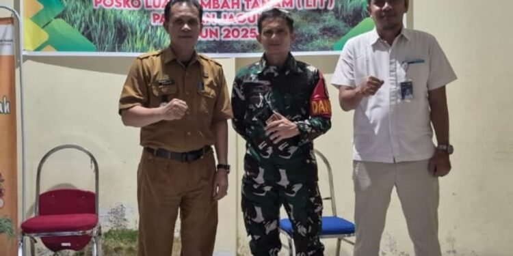 Kadis Pertanian Bersama Pimpinan Cabang Bulog Serta Dandim, Adakan Pertemuan di Posko Lahan Tambah Tanam ( LTT )