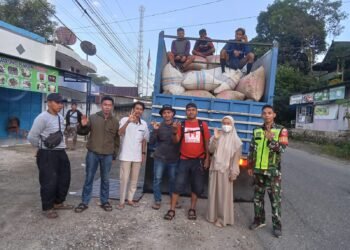 Bulog Tetap Turun Lapangan Beli Gabah Petani Walaupun Hujan Deras.