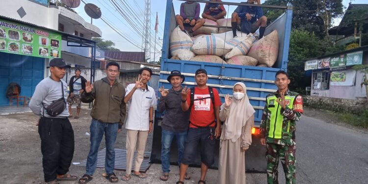 Bulog Tetap Turun Lapangan Beli Gabah Petani Walaupun Hujan Deras.