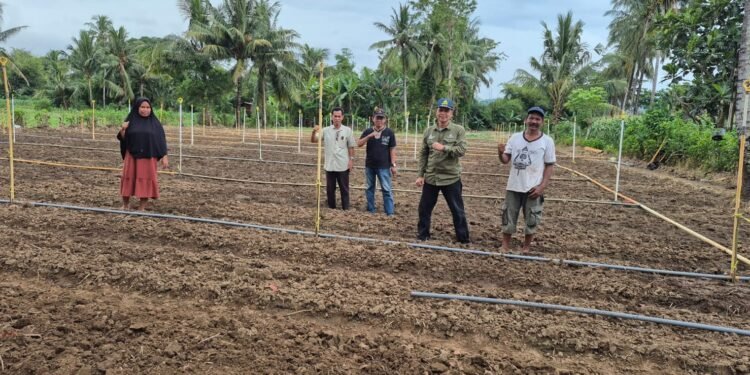 Pemerintah Kabupaten Barru Melalui Dinas Pertanian dan Ketahanan Pangan Melakukan Pemetaan dan Identifikasi Kesesuaian Lahan Pertanian