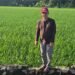 Dukung Swasembada Pangan 2025, Petani Barru Tanam Padi dari Bantuan Benih Pemerintah