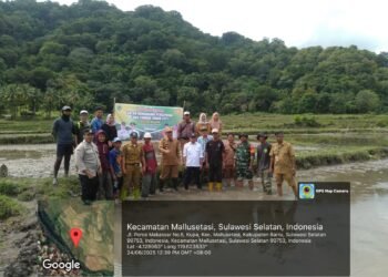 Kadis Pertanian Bersama Pj. LTT Swasembada Wilayah Barru, Tanam Bergama Dukung Percepatan LTT di Desa Kupa