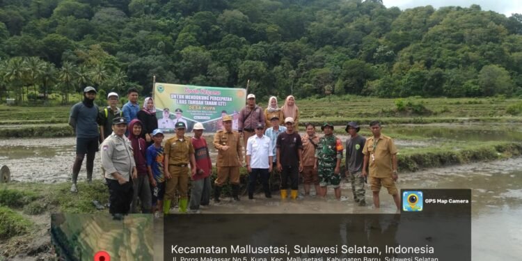 Kadis Pertanian Bersama Pj. LTT Swasembada Wilayah Barru, Tanam Bergama Dukung Percepatan LTT di Desa Kupa