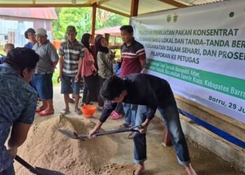 Pelatihan Pakan Konsentrat dan Reproduksi Ternak: Unhas Dampingi Peternak di Barru