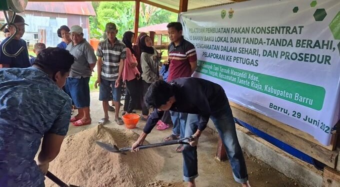 Pelatihan Pakan Konsentrat dan Reproduksi Ternak: Unhas Dampingi Peternak di Barru
