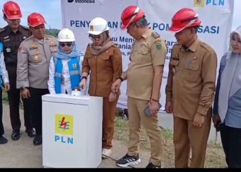 Pemkab Barru dan PLN Resmikan Penyediaan  Listrik  Pompanisasi Masuk Sawah