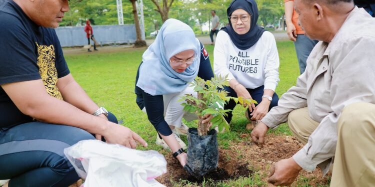Pohon Aju Berru Miliki Nilai Historis, Bupati Barru: Mari Kita Jaga dan Lestarikan Bersama