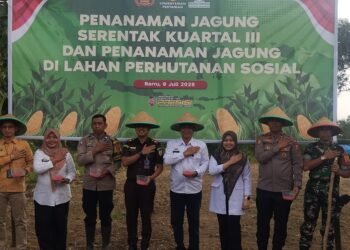 Bupati Barru Diwakili Kadis Pertanian dan Ketahanan Pangan Hadiri Kegiatan Penanaman Jagung Serentak di Lahan Perhutanan Sosial