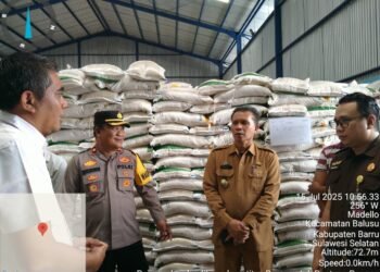 Tim Satgas Pangan Barru Bersama Pinca Bulog Pare-pare Lakukan Pengecekan Kualitas Beras Siap Salur untuk Masyarakat