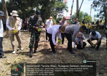 Kapolres Barru Bersama Kadis Pertanian Lakukan Tanam Bersama, Jagung Kuning Kwartal III Tahun 2025