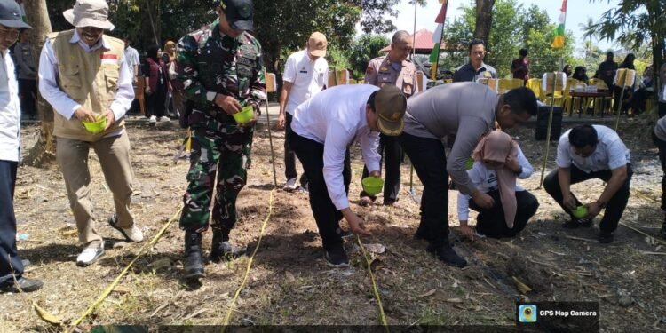 Kapolres Barru Bersama Kadis Pertanian Lakukan Tanam Bersama, Jagung Kuning Kwartal III Tahun 2025