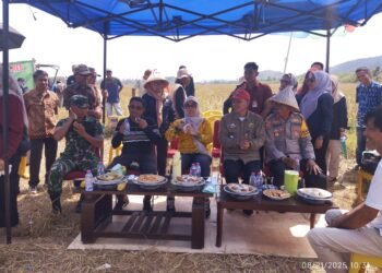 Bupati Barru di Dampingi Kadis Pertanian Barru Menegaskan, Lahan Tersebut Secara Visual Dinilai Layak Untuk Dilaksanakan