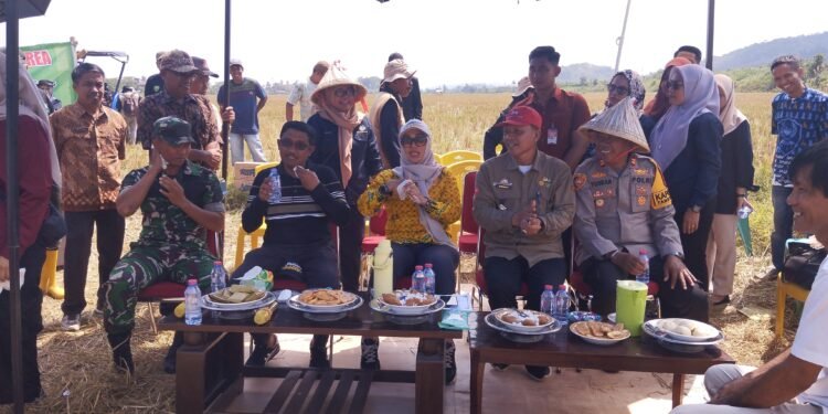 Bupati Barru di Dampingi Kadis Pertanian Barru Menegaskan, Lahan Tersebut Secara Visual Dinilai Layak Untuk Dilaksanakan