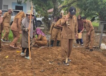 Kadis Pertanian dan Ketahanan Pangan Barru Dampingi Prof. Suarni, M.Si., Tanam Jagung Pulut Varietas Ungu