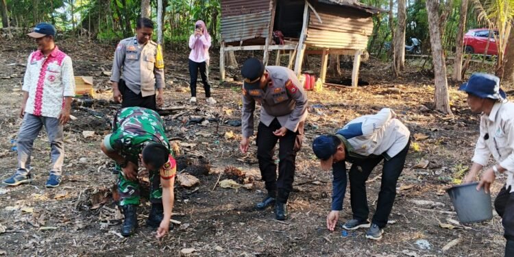 Kapolsek Balusu  IPDA Abdul Mustajil, SH., Hadiri Giat Penanaman Jagung 1 Hektar di Kelurahan Takkalasi