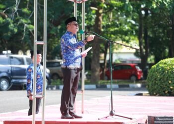 Wakil Bupati Barru, Dr. Ir. Abustan Andi Bintang, M.Si., Hari Kesadaran Nasional Momentum Untuk Menyegarkan Kembali Semangat Pengabdian