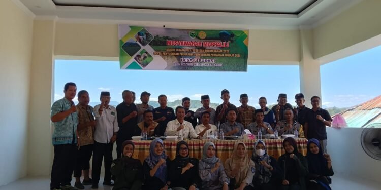 Musyawarah Mappalili Musim Tanam 2025/2026 di Desa Lipukasi