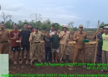 Kadis Pertanian Barru Ir. Ahmad, M.M., Hadiri Kegiatan LTT Padi Gogo Tahun 2025 di Desa Libureng