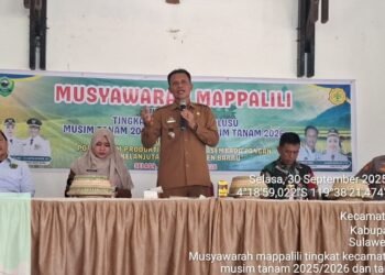 Kadis Pertanian Kabupaten Barru Hadiri Musyawarah Mappalili Tingkat Kecamatan Balusu, Musim Tanam 2025/2026 dan Tanam 2026