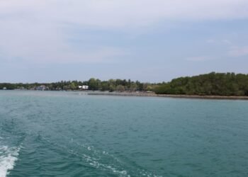 Pulau Panikiang Terancam Tanpa “Panning”: Ketika Koloni Kelelawar Diburu untuk Diperdagangkan