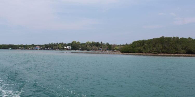 Pulau Panikiang Terancam Tanpa “Panning”: Ketika Koloni Kelelawar Diburu untuk Diperdagangkan