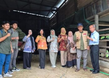 Kadis Pertanian Barru Bersama Tim Fakultas Peternakan Vokasi Unhas dan Tim Kemendikti Melakukan Kunjungan ke Kelompok Tani Ternak Mitra Binaan