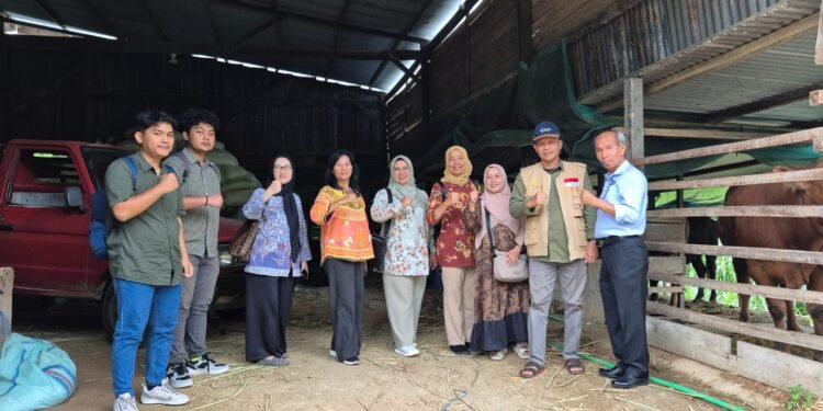 Kadis Pertanian Barru Bersama Tim Fakultas Peternakan Vokasi Unhas dan Tim Kemendikti Melakukan Kunjungan ke Kelompok Tani Ternak Mitra Binaan