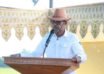 Tradisi Mapalili Tingkat Kecamatan Barru Dihadiri Pj. Sekretaris Daerah Kabupaten Barru, Mewakili Bupati Barru, dan Wakil Bupati Barru