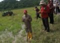 Kadis Pertanian Barru Menghadiri Acara Mappalili Turun Sawah Musim Tanam 2025/2026 dan Musim Tanam 2026 Tingkat Desa Manuba
