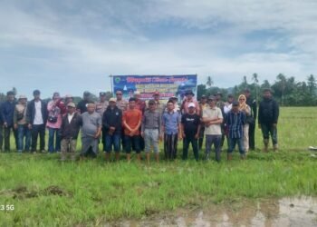 SINERGI POLRI, PEMERINTAH, DAN MASYARAKAT WUJUDKAN KETAHANAN PANGAN MELALUI TRADISI TURUN SAWAH DI DESA MANUBA