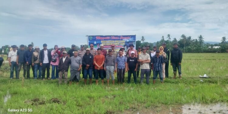 SINERGI POLRI, PEMERINTAH, DAN MASYARAKAT WUJUDKAN KETAHANAN PANGAN MELALUI TRADISI TURUN SAWAH DI DESA MANUBA