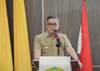 Wakil Bupati Barru, Mewujudkan Pemuda Berkeadilan, Berdaya Saing, dan Berkarakter Untuk Barru Maju dan Berkelanjutan