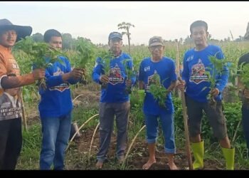 Daihatsu Feroza Indonesia Chapter Bulukumba, Perkuat Ketahanan Pangan Nasional Sebagai Wujud Kerja Bukan Cerita