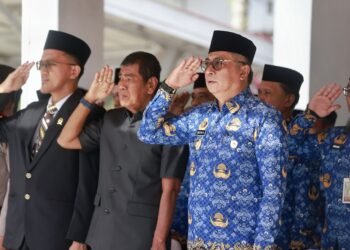 Wakil Bupati Barru Didampingi Ketua DPRD Barru dan Pj. Sekda Menyerahkan SK Pensiun Kepada 10 ASN Lingkup Pemkab Barru di Hari HKN