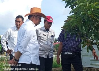 Kunjungan Wakil Bupati Barru di Kebun Bupati Bulukumba: Perkuat Kerja Sama dan Pertukaran Pengetahuan di Sektor Pertanian