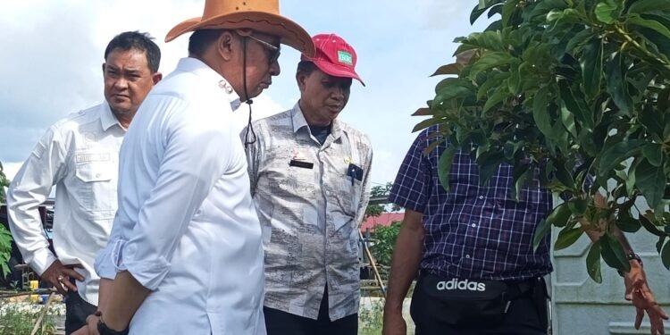 Kunjungan Wakil Bupati Barru di Kebun Bupati Bulukumba: Perkuat Kerja Sama dan Pertukaran Pengetahuan di Sektor Pertanian