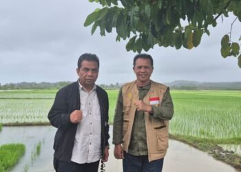 Monev Realisasi LTT Desember 2025, Direktur Pusat Pendidikan Kementan RI Didampingi Kadis Pertanian Barru