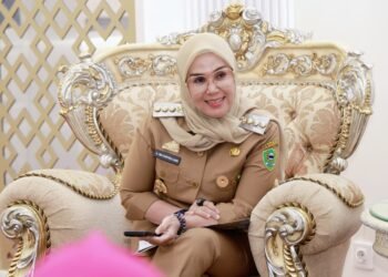 Bupati Barru Andi Ina Kartika Sari, SH., M.Si., Menyambut Baik Kehadiran PW IPEMI Sulsel dan Mendorong Peran Aktif Pengusaha Muslimah