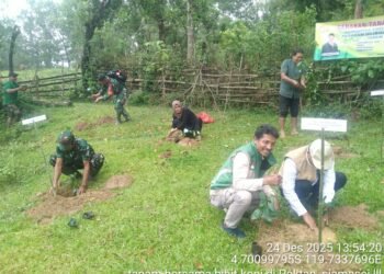 Gerakan Tanam Komoditi Kopi Sebagai Akselerasi Program Hilirisasi Yang Dilakukan Secara Bersamaan