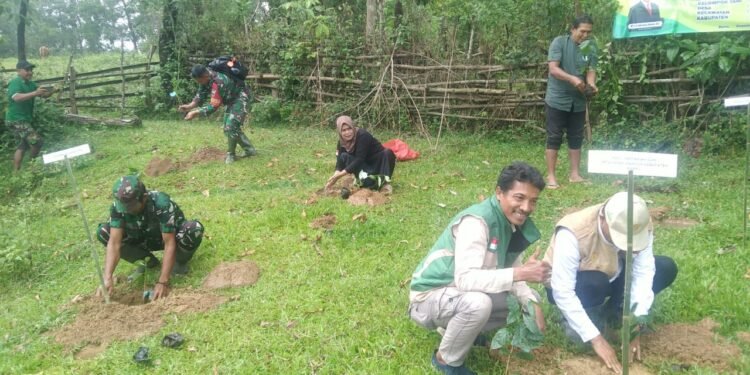 Gerakan Tanam Komoditi Kopi Sebagai Akselerasi Program Hilirisasi Yang Dilakukan Secara Bersamaan
