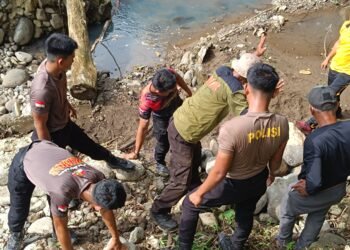Satbrimob Polda Sulsel Bangun Jembatan Darurat di Desa Nepo Kab. Barru, Wujud Kepedulian Untuk Akses Masyarakat