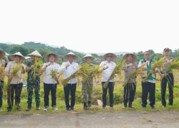 Panen Raya dan Pengumuman Swasembada Pangan Nasional, Dihadiri Wakil Bupati Barru Dr. Ir. Abustan Andi Bintang, M.Si.