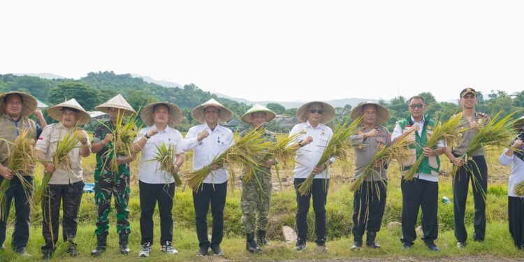 Panen Raya dan Pengumuman Swasembada Pangan Nasional, Dihadiri Wakil Bupati Barru Dr. Ir. Abustan Andi Bintang, M.Si.