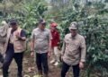 Wakil Bupati Barru, Didampingi Kadis Pertanian Monitoring Pertanaman Bibit Kopi Bantuan APBN dan APBD Tahun 2025